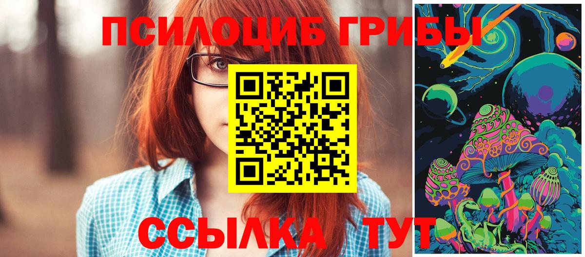 Галлюциногенные грибы прущие грибы  Вход с VPN  Сочи 